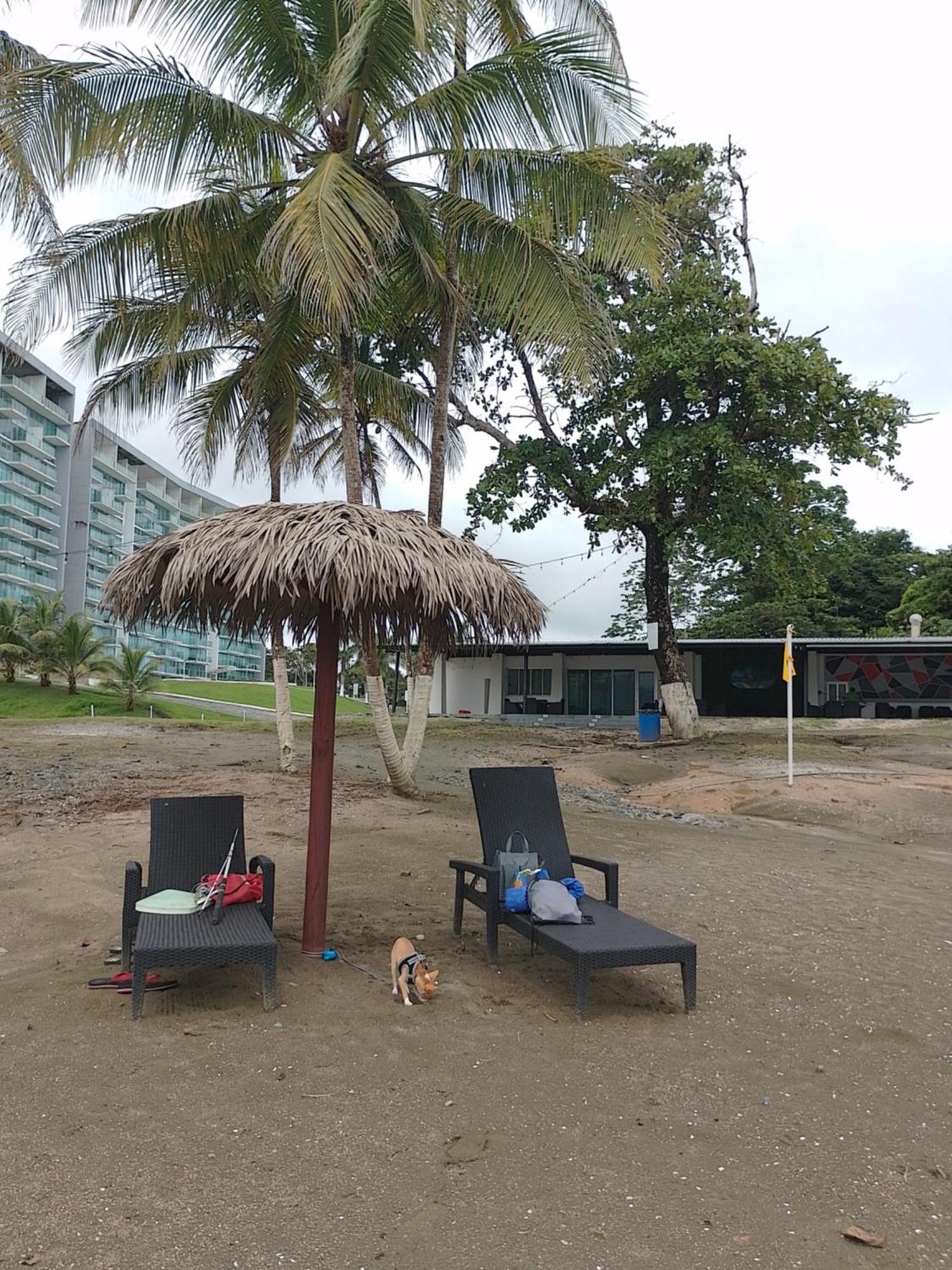 Apartamento En Balabeach Maria Chiquita In Front Of The Beach 2Hab Colon Rum bild