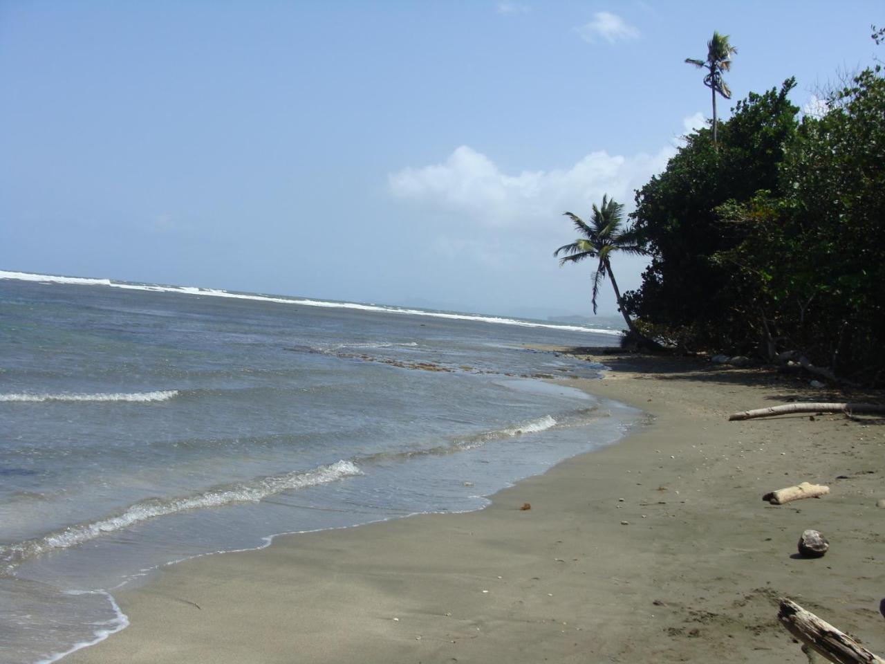 Apartamento En Balabeach Maria Chiquita In Front Of The Beach 2Hab Colon Exteriör bild